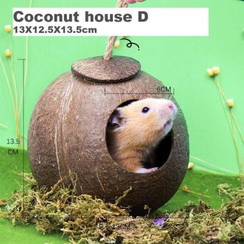 Coconut Chew Toy for Small Pets