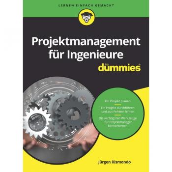 Projektmanagement für Ingenieure für Dummies