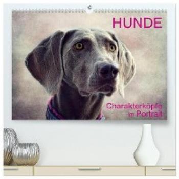 Wandkalender 2024 Hunde-Chrakaterköpfe im Portrait