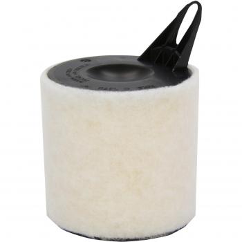 Originale MANN-FILTER Filtro Aria C 1370