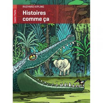 Histoires comme Ã§a