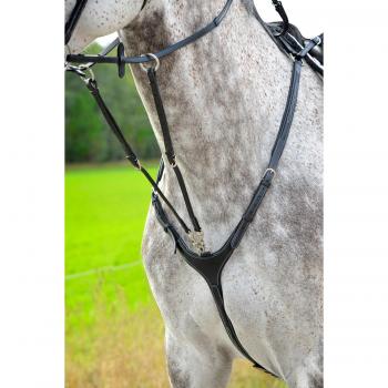 Plaquette de poitrine Lippo Fazzino – martingale amovible – Noir (Poney)