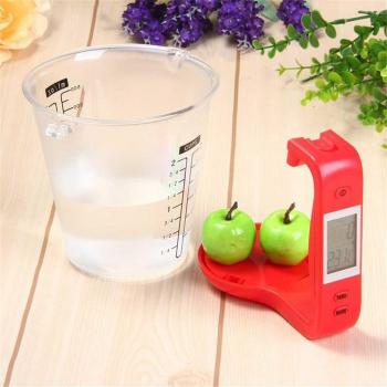 Medidor de Temperatura Digital Hostweight