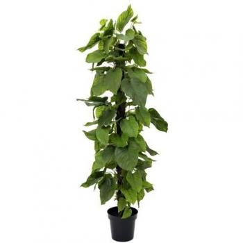 Pianta Pothos Finta 180 Cm in Plastica Europalms