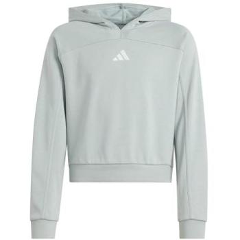 Wonder Sage Silver Met 7-8 Year Old Girl Hoodie – Adidas Holiday Glam