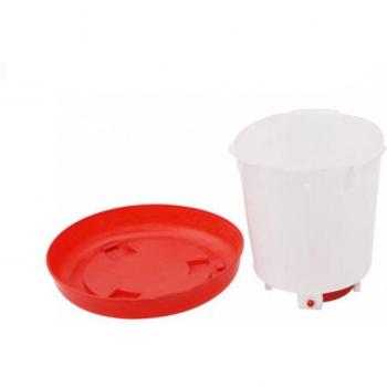 Poultry Feeding and Drinking Station