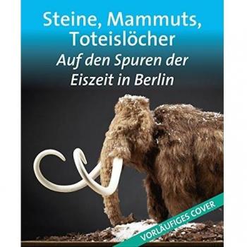 Steine, Mammuts, Toteislöcher: Auf den Spuren der Eiszeit in Berlin