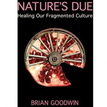 Nature's Due : Healing Our Fragmented Culture