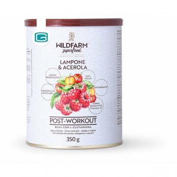 WILDFARM POST WORK LAM&ACE350G