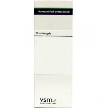 VSM Bellis Perennis D6 herstel na letsel 20ml