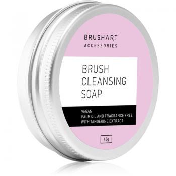 Detergente per Pennelli Cosmetici BrushArt 40 g
