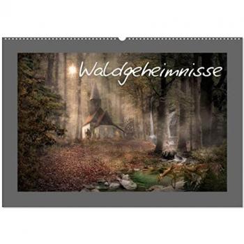 Waldgeheimnisse (Wandkalender 2025 DIN A2 quer) CALVENDO Monatskalender