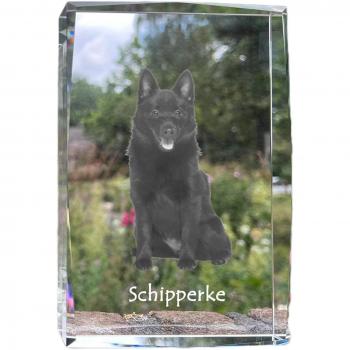 Exhibición Moderna Art-Dog: Foto en Cristal