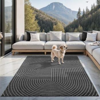 Tapis Contemporain Santo Plus 120x160