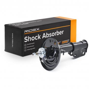 Ammortizzatore RENAULT 543020023R