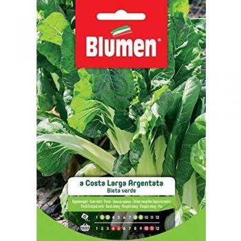 Bieta a Costa Verde