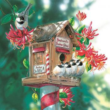 Coprire a Diamante Bird's Warm 30 cm