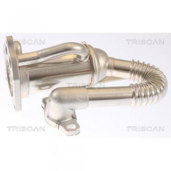 AGR Kühler für Renault Dacia TRISCAN 8813 25105