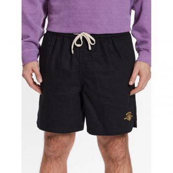 BDG Urban Outfitters Freizeitshorts Regular Fit Schwarz