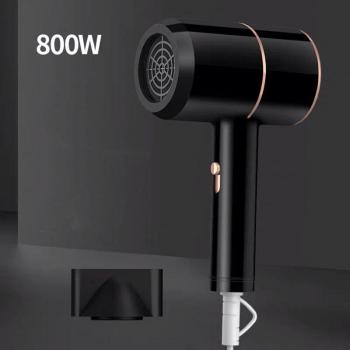 Electric Pet Hair Dryer