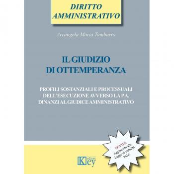 Il giudizio di ottemperanza. Profili sostanziali e processuali dell'esecuzione avverso la p.a. dinanzi al giudice amministrativo