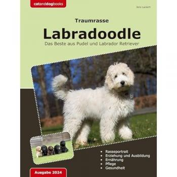 Traumrasse: Labradoodle: Das Beste aus Pudel und Labrador Retriever