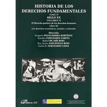 HISTORIA DE LOS DERECHOS FUNDAMENTALES. TOMO IV. SIGLO XX. VOLUMEN VI. LIBRO III. DERECHO POSITIVO DE LOS DERECHOS HUMANOS. DERECHOS ECONÓMICOS, SOCIALES Y CULTURALES