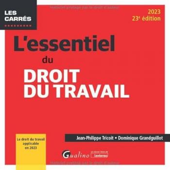 Jean-Philippe Tricoit L'Essentiel Du Droit Du Travail: Le Droit Du Travail Applicable En 2023 (2023)