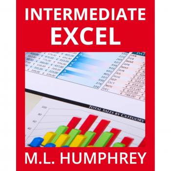 Intermediate Excel (Excel Essentials, Band 2)