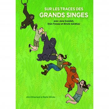 Sur les Traces des Grands Singes