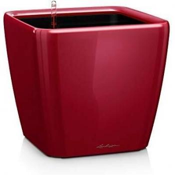 Parete fioriera Lechuza Quadro LS 43 cm, colore: Rosso Scarlatto
