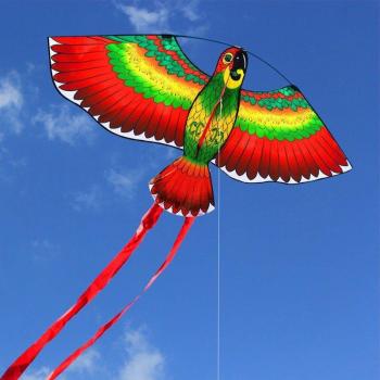 Parachute d’aventure perroquet