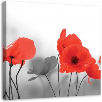 Summer Poppies Red Canvas Print – 30x30 Nature Grey