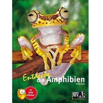 Entdecke die Amphibien, Libro per bambini di Criterio Kunz