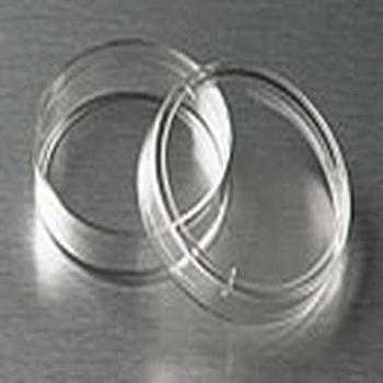 Placa de Petrial 35×10 mm – Superficie Cuadrada Templada, PS