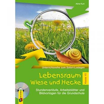 Lebensraum Wiese und Hecke
