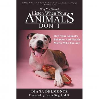 Why You Should Listen When Your Animals Don't: How Your Animal's Behavior And Health Mirror Who You Are