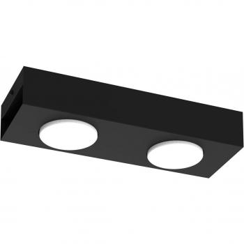 Ian Black 2-Bulb Downlight by Luminex