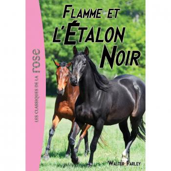 L'Etalon Noir, Tome 17 : Flamme et l'étalon noir