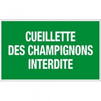 Panneau de signalisation rigide 330x200mm cueillette des champignons interdite vert novap