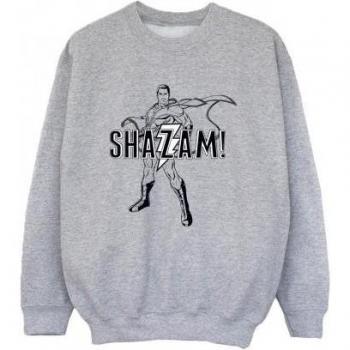 DC Comics Jungen Shazam Umriss Sweatshirt grau