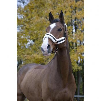 NORTON Licol 'Confort' Noir, Boucles Couleur Or Rose (Shetland)
