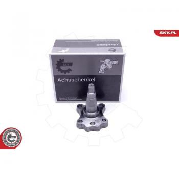 Kit de roulements ESEN SKV 29SKV995 pour véhicules FIAT, PEUGEOT, CITROËN