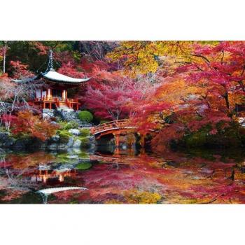 Papermoon Fototapete „Japanischer Garten“ – Bambus‑Rauschen