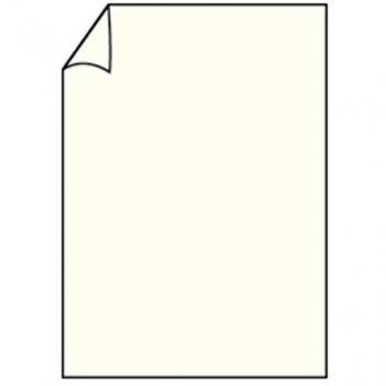 5 Blatt Ivory Karton A4 220g/qm