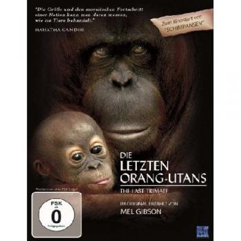 Le Trimate des Derniers Orang-Outans – Stephen Van Mil