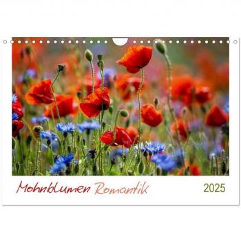 Mohnblumen Romantik (Wandkalender 2025 DIN A4 quer) CALVENDO Monatskalender