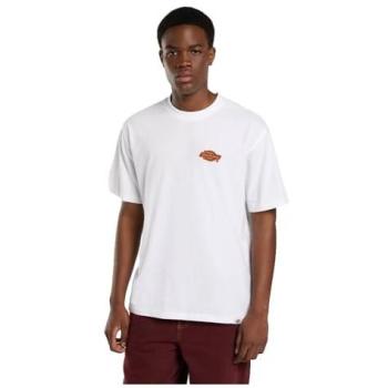 Dickies maglia a maniche corte graysville bianco XL
