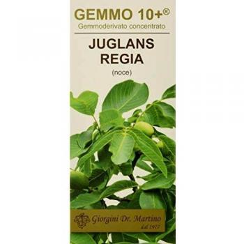 TINCTURE GEMMO 10+ Noyer 100 ml
