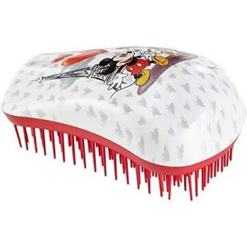 Kit de Peinture Mickey Mouse